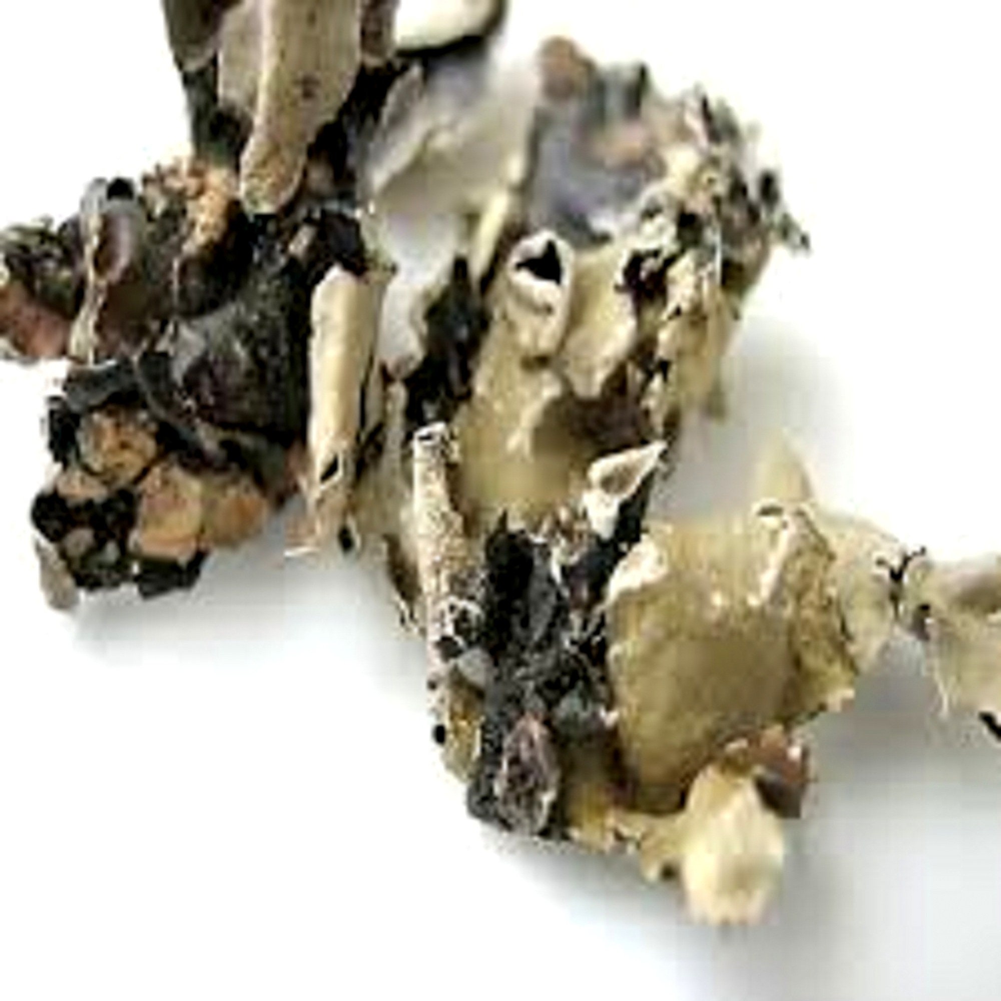 Original Black Stone Flower Dried LichenDagad PhoolKalpasi Etsy