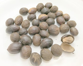 NUTMEG - Myristica fragrans Houtt from Sanaa Zesty