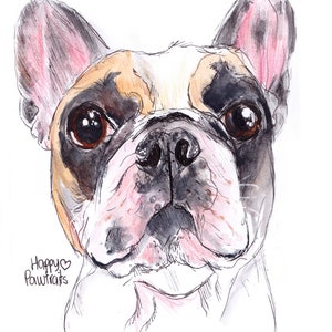 Retrato en acuarela con fondo SIMPLE que muestra el carácter de su mascota