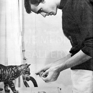 Anthony Perkins & Cat Photo Print - Cat Photo Art Print - Animal Lover Gift - Cat Lover Gift - Vintage Old Photo - Cool, Interesting Photo