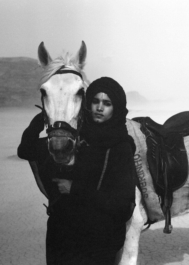 sofia-boutella-black-horse-photo-print-equestrian-art-arabian-horse