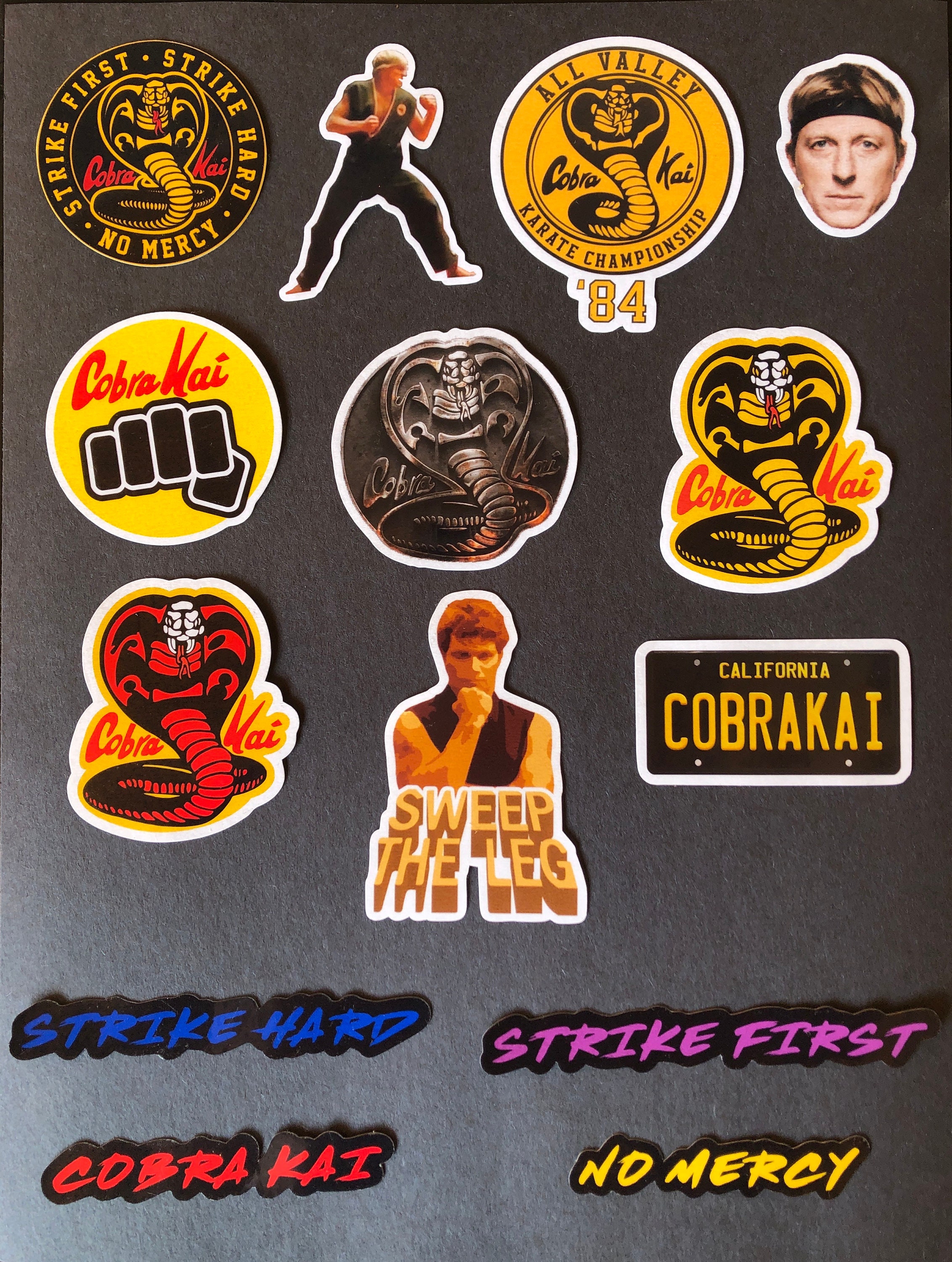 Karate Kid Cobrakai Stickers Etsy