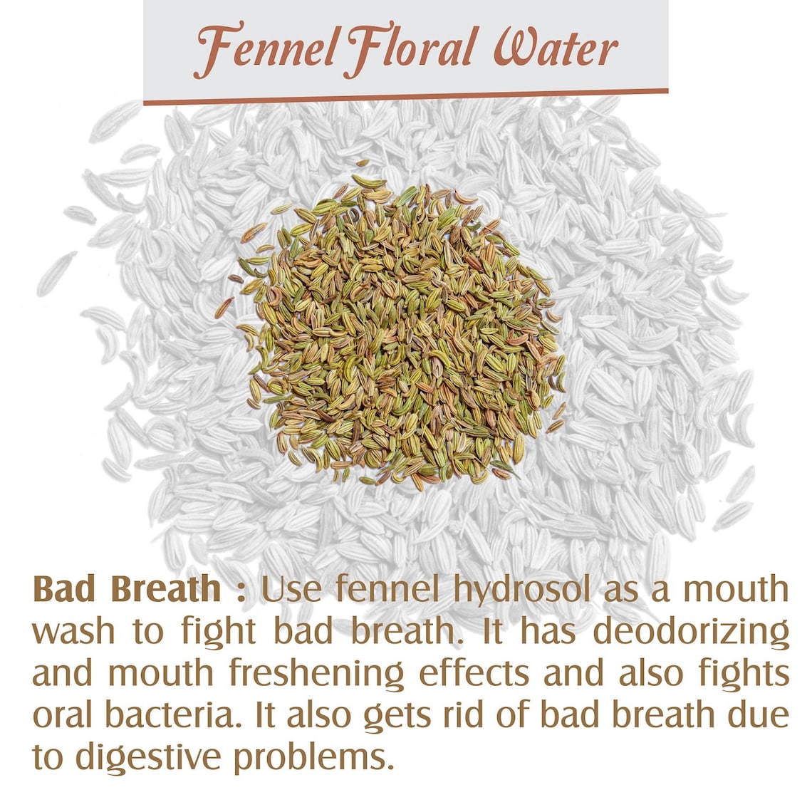 Fennel Hydrosol Floral Water 60ml 2.02 oz Pure And Natural Etsy