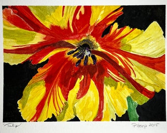 Original Parrot Tulip Watercolor Painting, Macro Floral Art, 7x5"