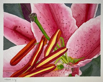 Original Watercolor Lily Painting, Stargazer Lily, Unframed Art, Ready to Frame