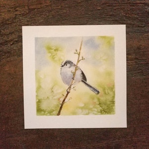 Reproduction d'après mon aquarelle originale, mésange à longue queue, beaux-arts carrés, illustration d'oiseau, 20 * 20 cm