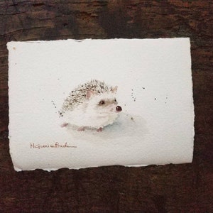 Impression d'art de mon aquarelle originale, hérisson 19*13 cm
