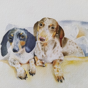 Fine art print from my original watercolor, &quot;piebald dachshunds&quot; 20*20cm