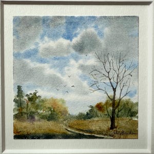 Landscape