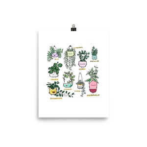 Hoya Family, Art Print on 8x10&quot; Matte Archival Paper // Giclee Print // Wall Decor // The Plant Alphabet // AP31