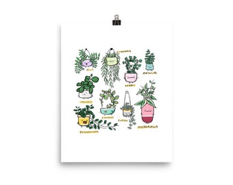 Hoya Family, Art Print on 8x10" Matte Archival Paper // Giclee Print // Wall Decor // The Plant Alphabet // AP31