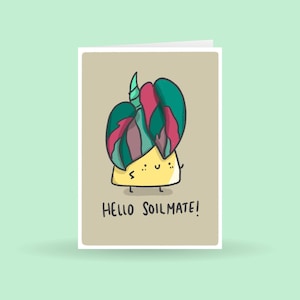 Bonjour carte Soil mate