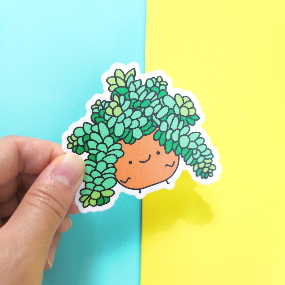 Burro's Tail Vinyl Sticker - Etsy