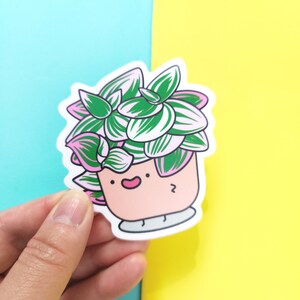 Adesivo per piante Tradescantia 3", adesivi per piante carini, papà pianta, genitore pianta, regalo pianta, pianta rosa, adesivi foglia, adesivo per computer