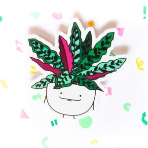 Adesivo de planta Calathea Rattlesnake/pai da planta/presente da planta/mãe da planta/pai da planta/adesivos de folhas/adesivos fofos para plantas