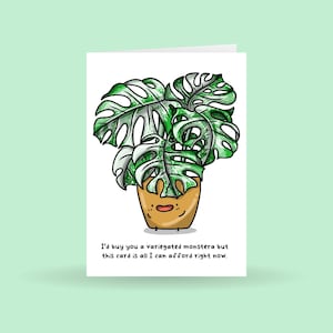 Carte Monstera panachée