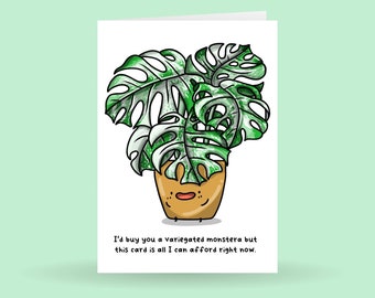 Variegated Monstera card