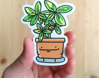 Schefflera Vinyl Sticker