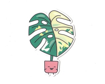 Variegated Monstera Vinyl Die Cut Sticker