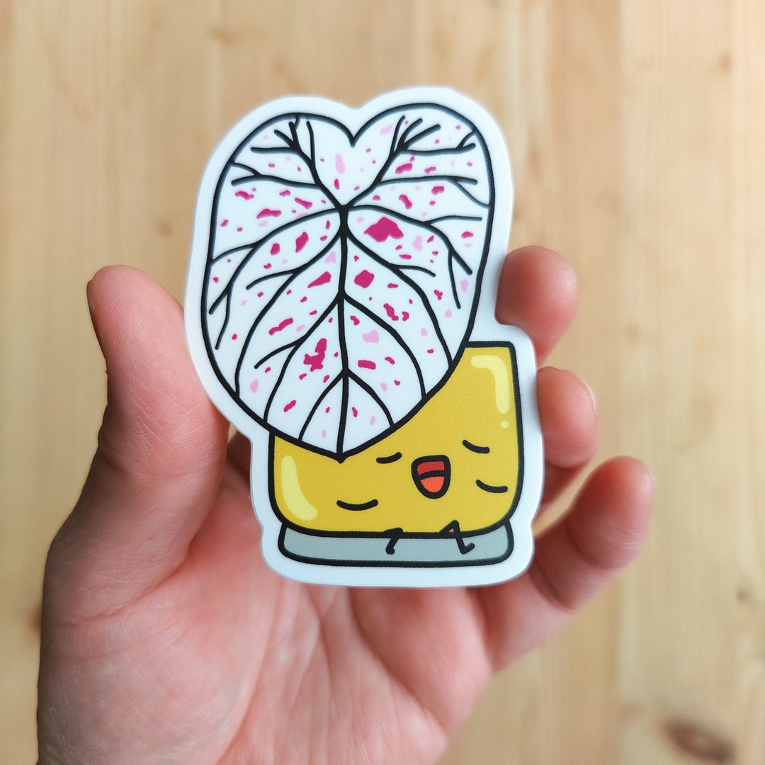 Caladium Cranberry Star Vinyl Sticker - Etsy
