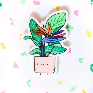 Adesivo de planta Bird of Paradise/adesivo de vinil de 3"/pai da planta/presente de planta/mãe da planta/pai da planta/adesivos de folhas/adesivos fofos de plantas