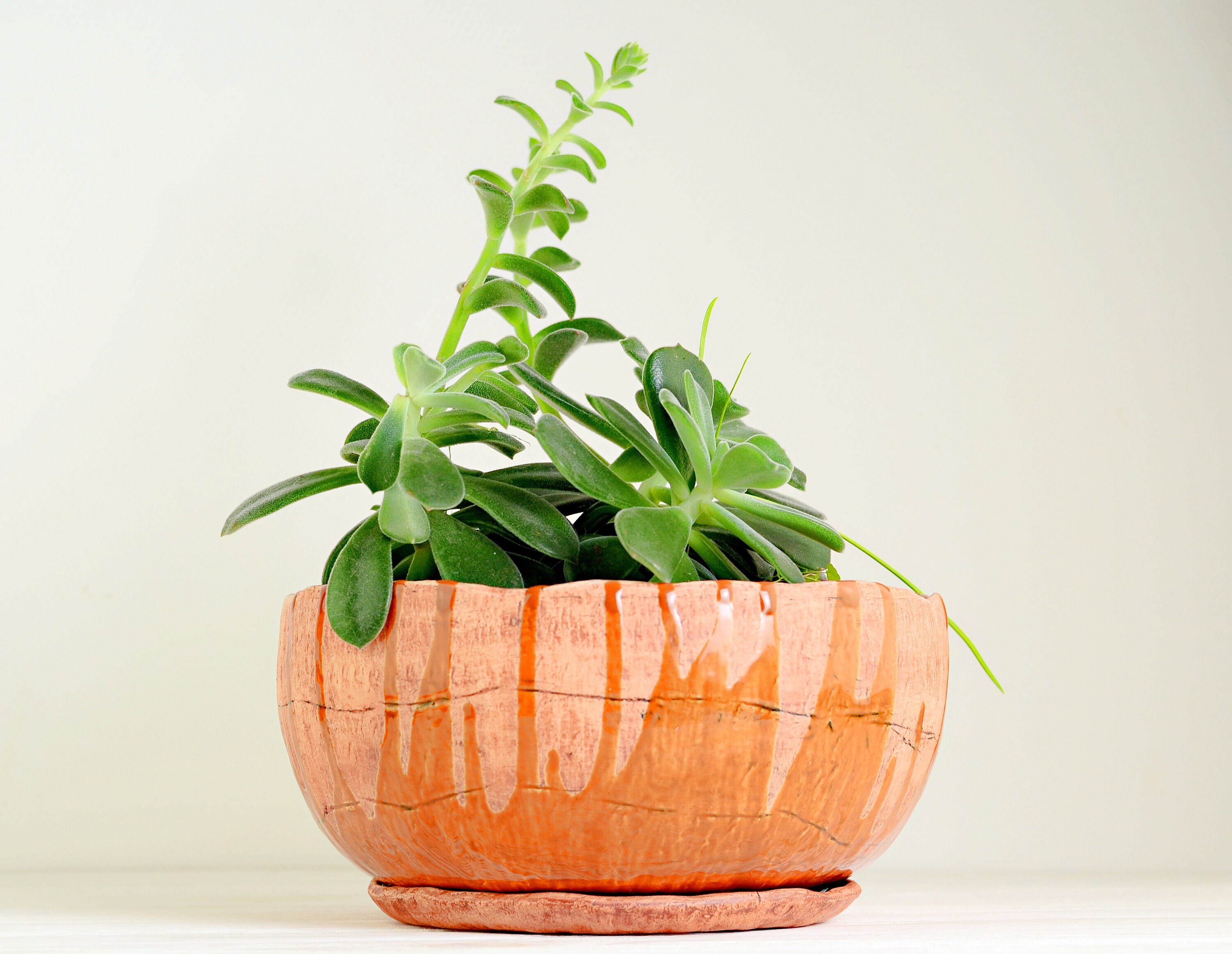 Rustic large orange ceramic planter pot with drainage and Etsy
