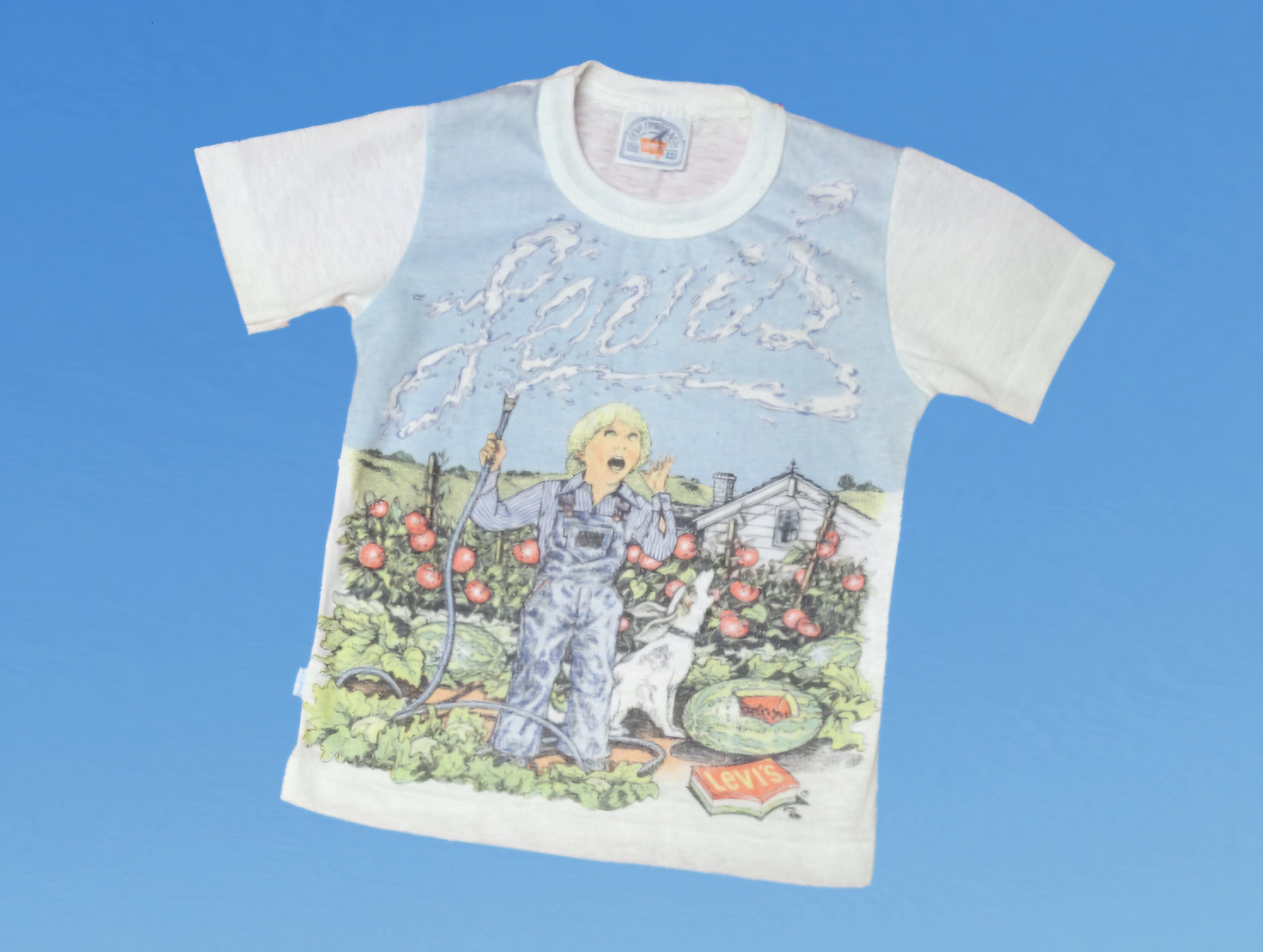 Vintage 1970s Kids Levi Strauss & Co Tshirt Single Stitch Farm All  