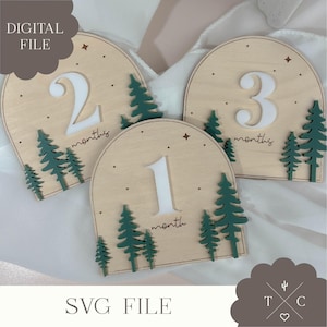 File digitale / Segnalibri mensili delle pietre miliari della foresta File SVG / Segnalibri delle pietre miliari / Primo anno del bambino