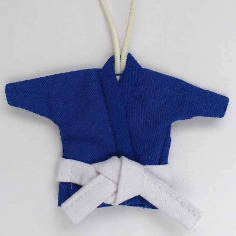 Puede incluir: Uniforme de karate azul con cintur&oacute;n blanco, colgado de una cuerda blanca.