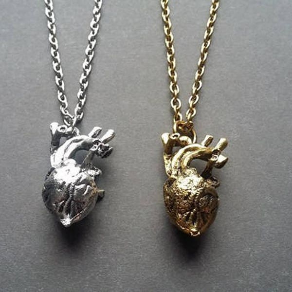 Anatomical Human Heart Necklace Earrings Keychain