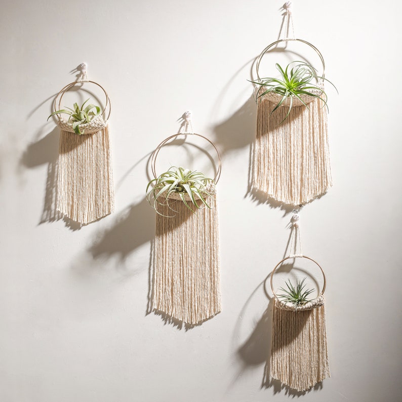 Macrame Air Plant Display Air Plant Wall Hanging Holder