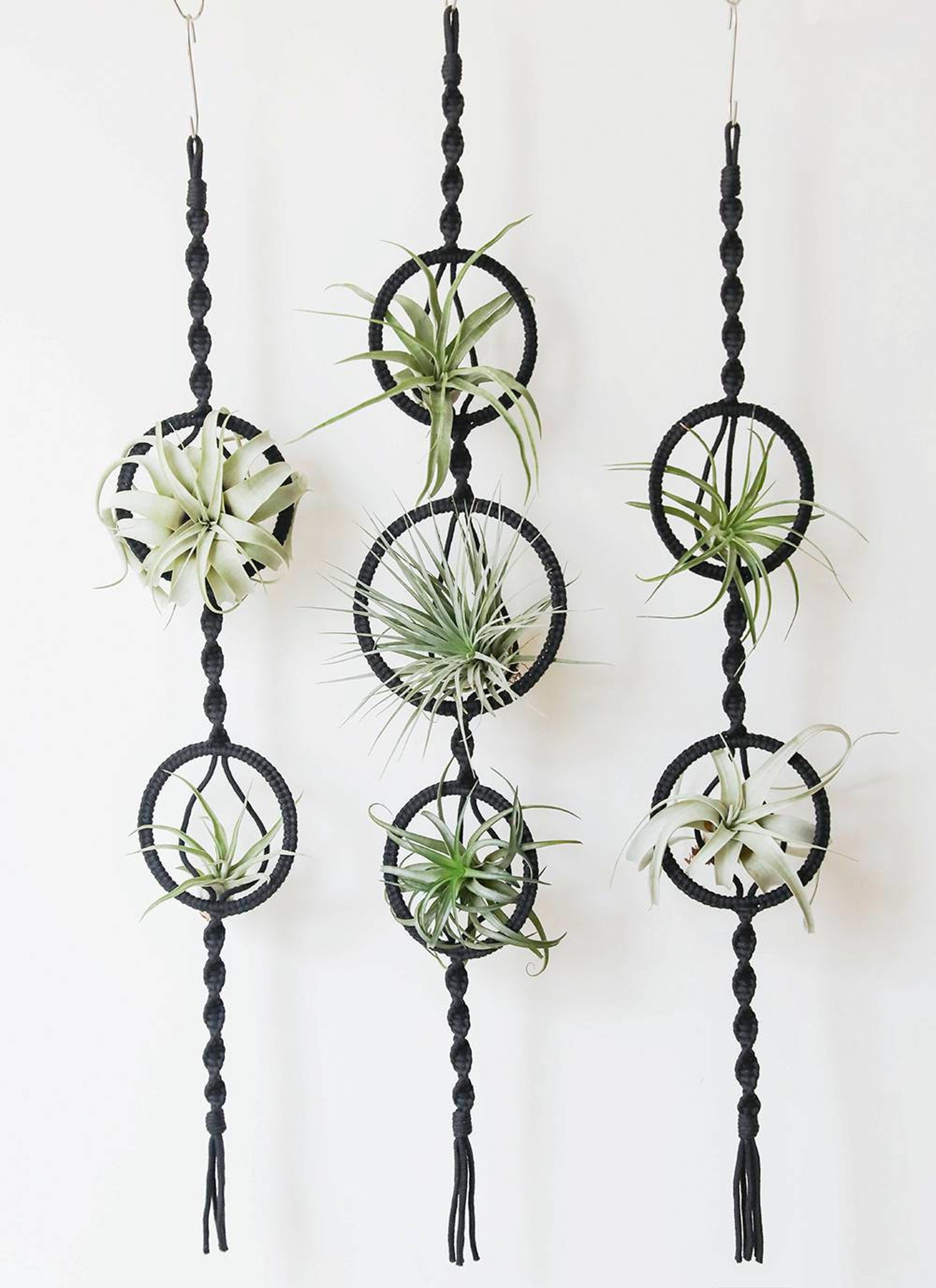 Macrame Air Plant Holder Handmade Air Plant Display Air Plant Etsy