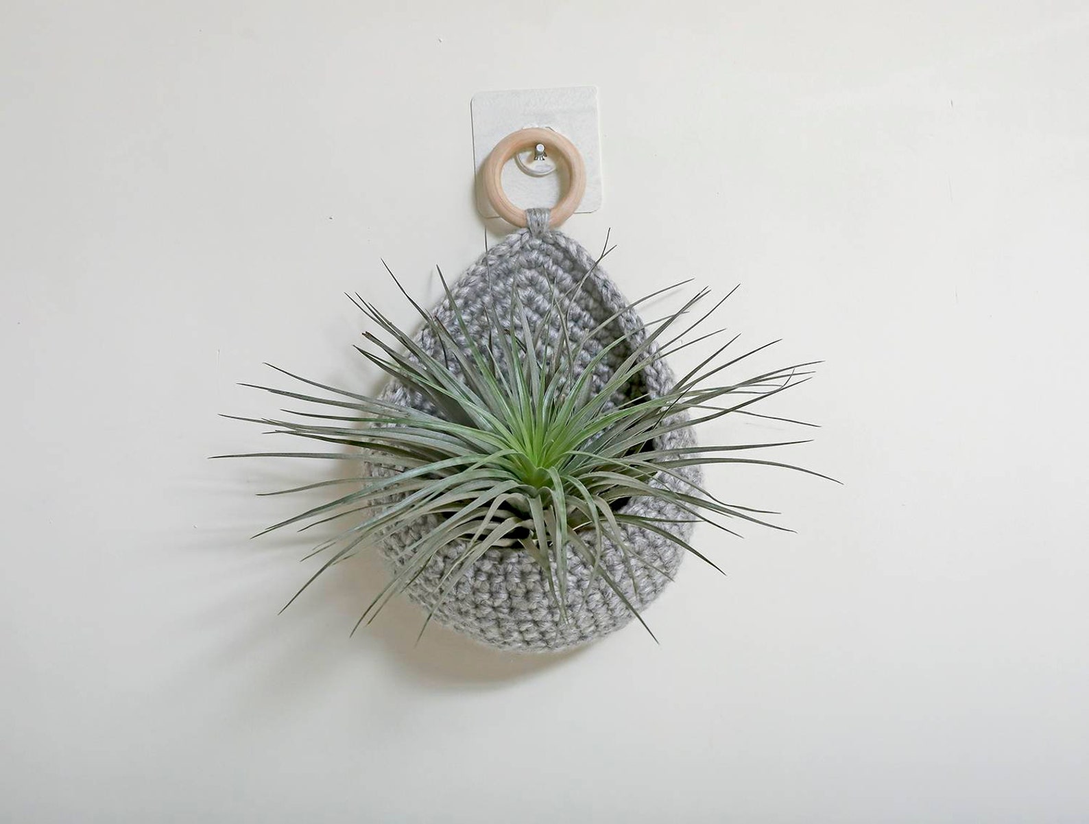 Crochet Air Plant Holder Handmade Tillandsia Wall Hanging Air Etsy
