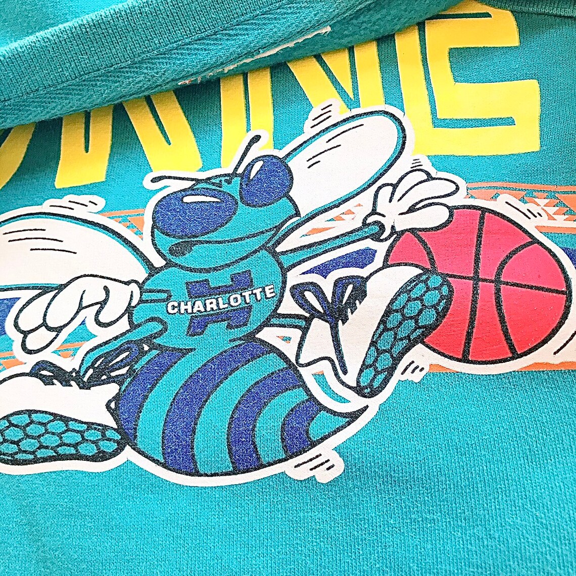 Vintage Charlotte Hornets Basketball NBA Sweatshirt size L | Etsy