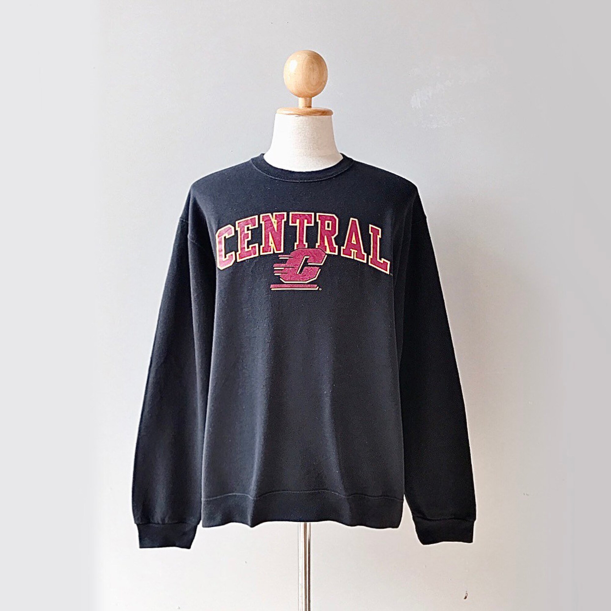 Discover Vintage Central Michigan University CMU Sweatshirt (size L)