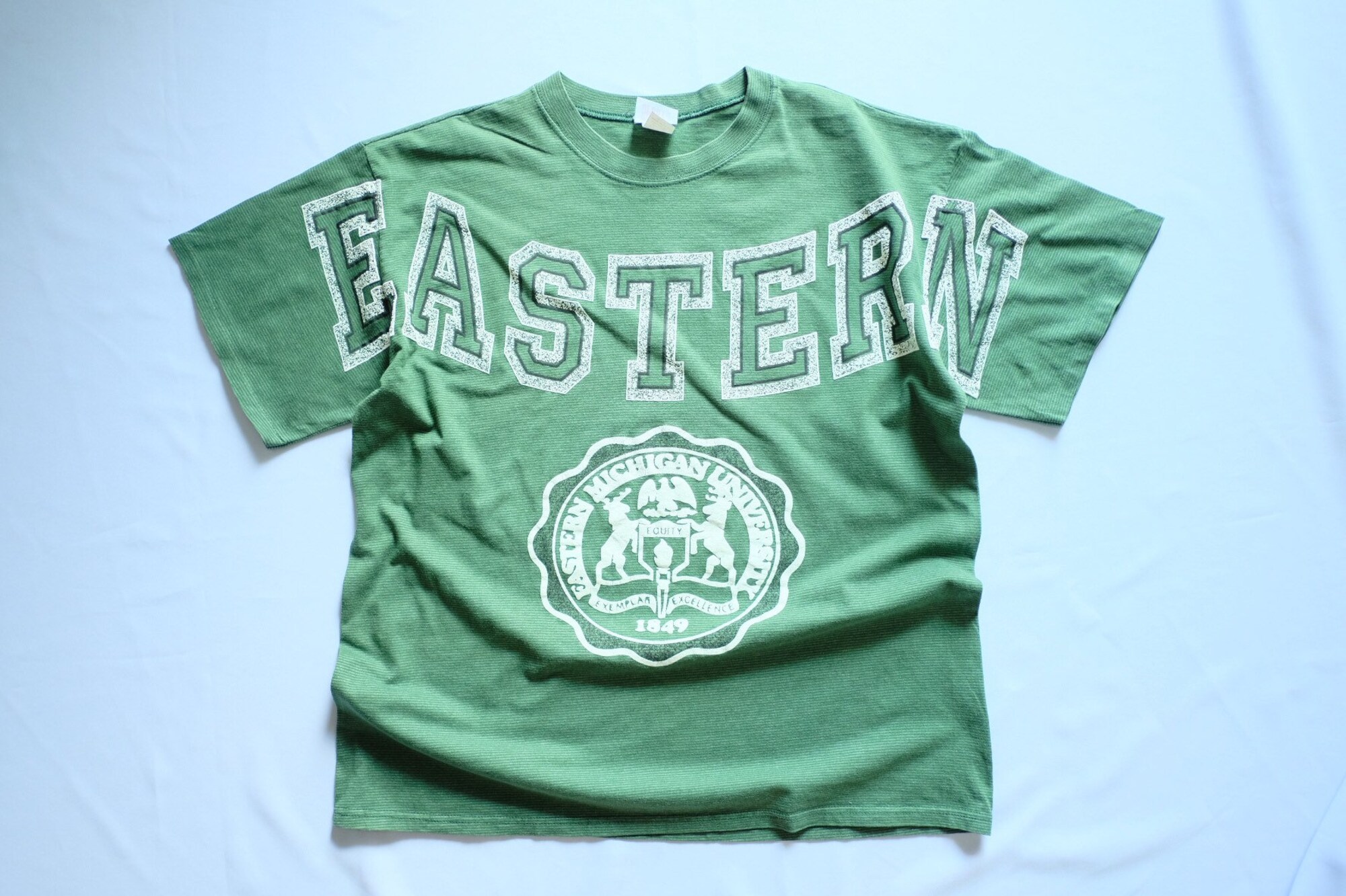 Discover Eastern Michigan University, Vintage T-shirt