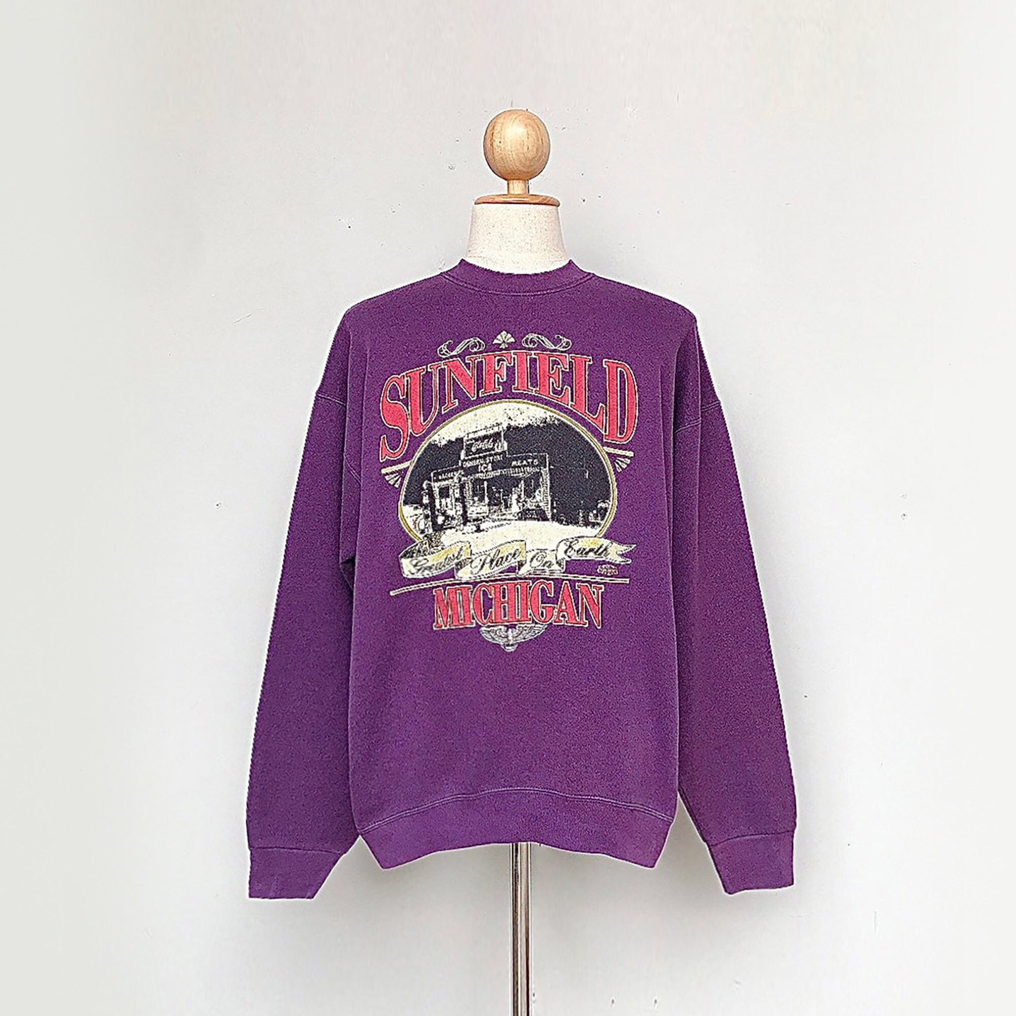 Discover Vintage Sunfield Michigan Sweatshirt (size XL)