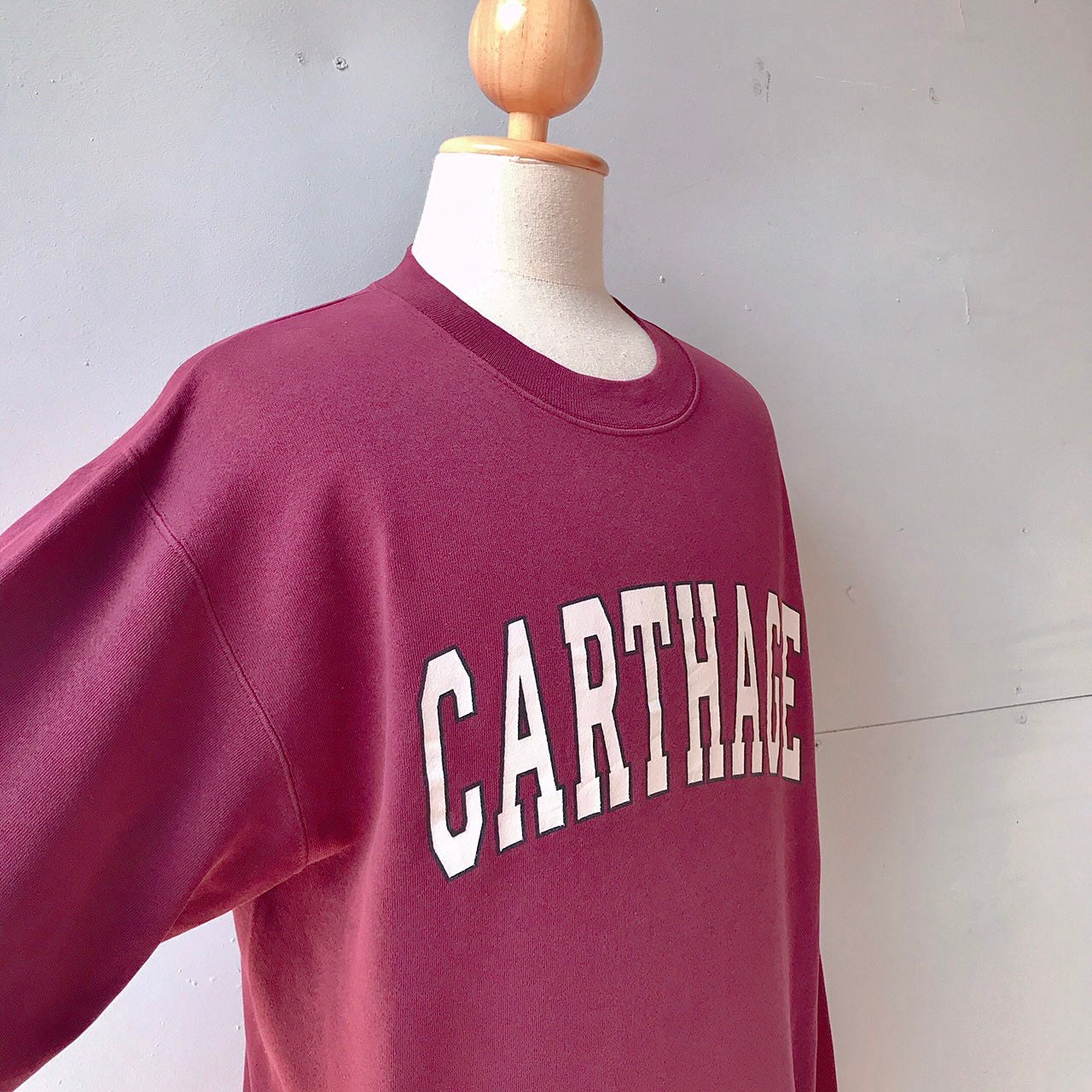 Vintage Carthage College Athletic Sweatshirt size L - Etsy Singapore