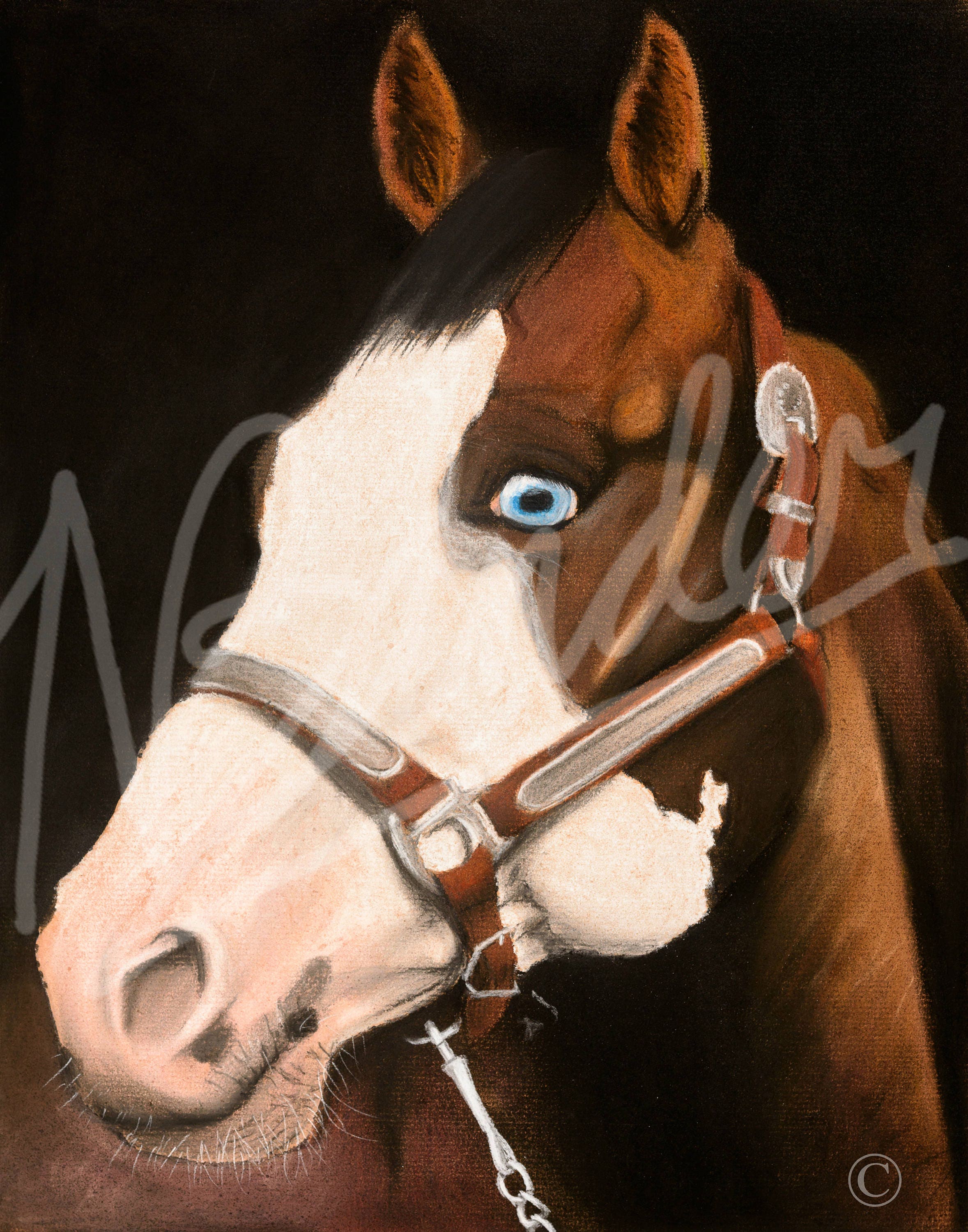 Piebald Pinto Paint Horse Head - Etsy
