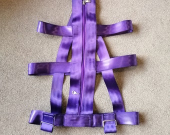 Key Locking Purple Red Orange Blue or Pink Zip Closure Harness ABDL 2200KG Webbing No Escape