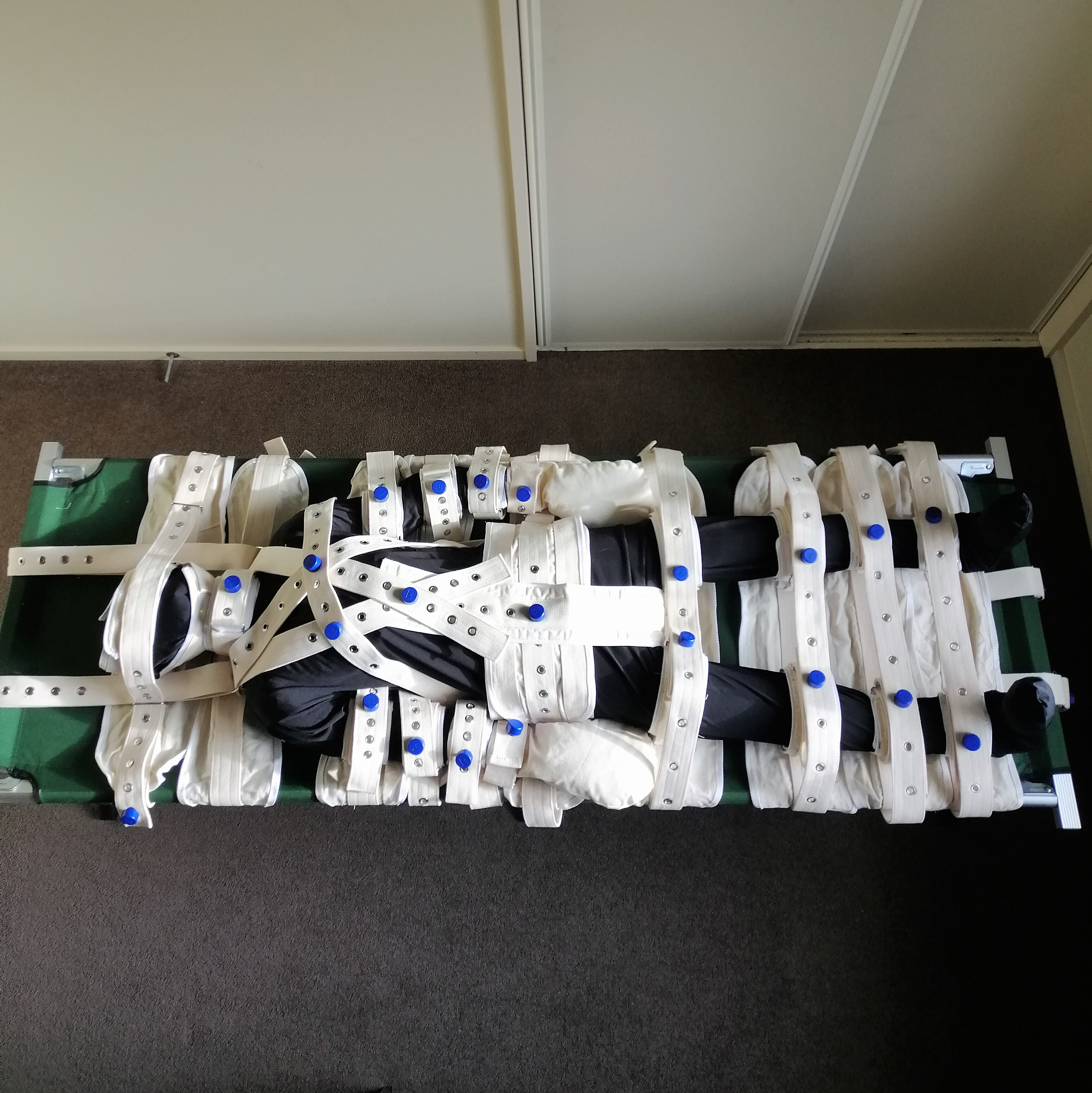 34 Point Segufix Bed Restraint Kit Head Shoulder Waist Crotch Wrist Arm