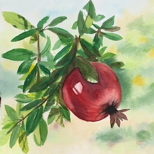 Pomegranate in original watercolor branch 24x24 cm // Original watercolor