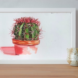 Colección de cactus/suculentas instantáneas, 8 plantas y macetas de 2
