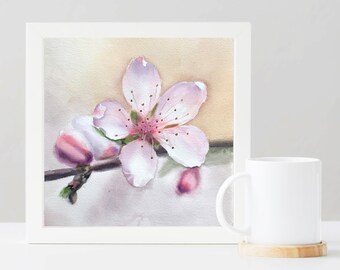 Original watercolor almond flower 22.5 x 22.5 cm // Original watercolor almond branch