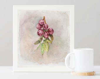 Original watercolor wild plum cluster 22 x 24 cm // Original watercolor wild plums