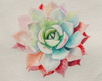 Succulent original watercolor 26x26 cm // Original watercolor suculent