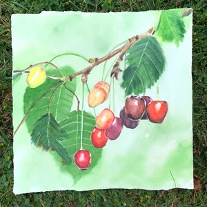 Oryginalne akwarelowe wiśnie na gałązce 26,5x26,5 cm // Oryginalne akwarelowe wiśnie
