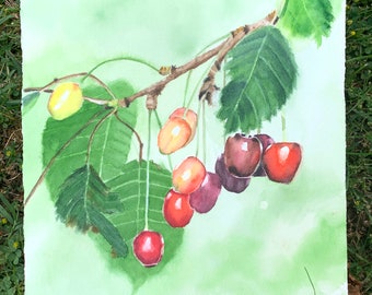 Original watercolor cherries in branch 26.5x26.5 cm // Original watercolor cherries