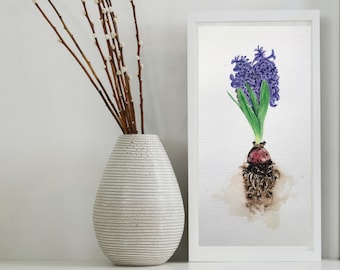 Original Watercolor Hyacinth 15x33cm