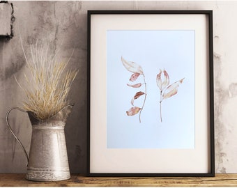 Original Watercolor eucalyptus branch - Original watercolor eucalyptus leaves 31x41 cm